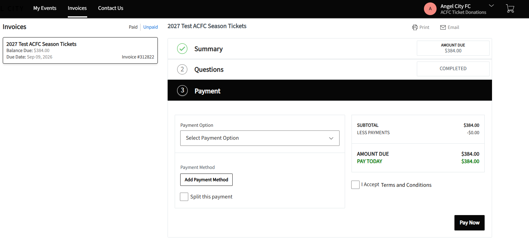 Payment tab with Payment Option, Payment Method, Terms and Conditions checkbox, and Pay Now button